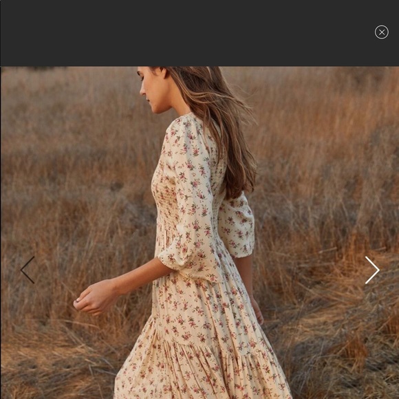 Christy Dawn Basil Larkspur Ditsy Field Silk Cotton Dress L NWT blue yellow - Picture 2 of 10